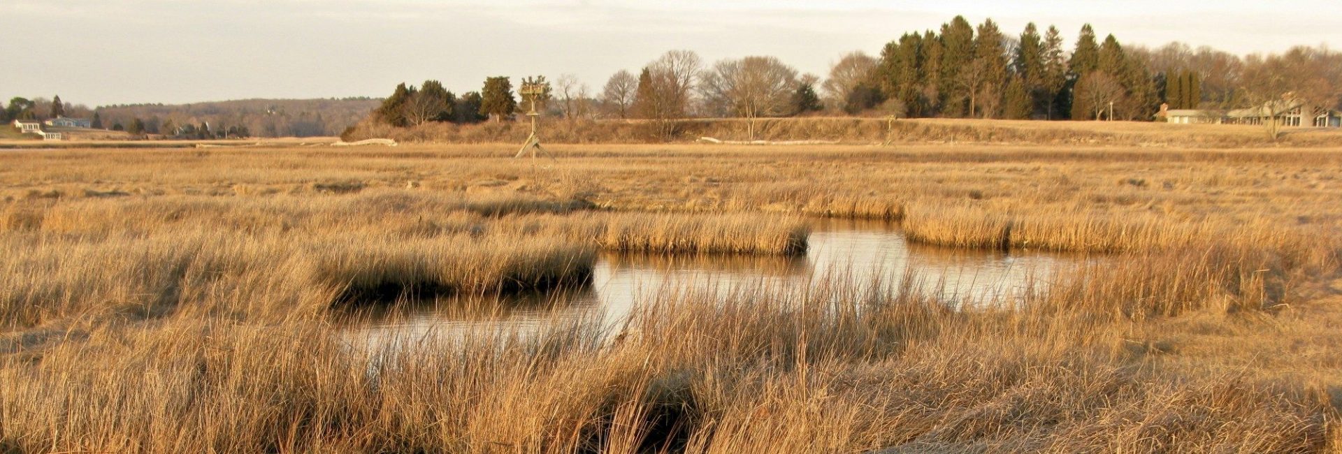 Winter marsh at Great Island, Old Lyme (Judy Preston, CTSG)